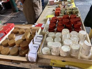   at Palace Culture in London