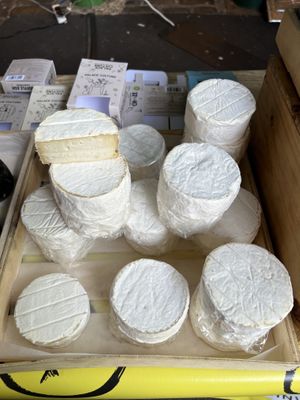   at Palace Culture in London