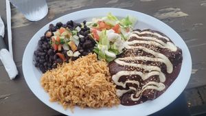 Enchiladas de Mole at Cascabel in Houston