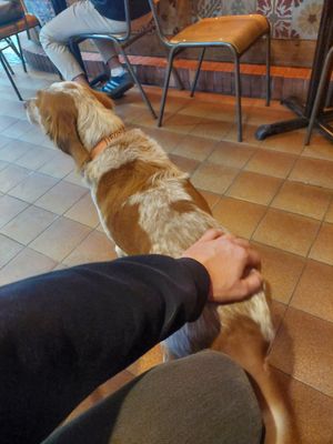  at The Vegan Corner in Barcelona