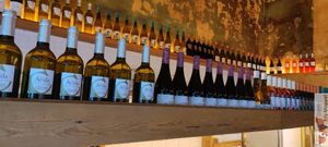  at The Vegan Corner in Barcelona