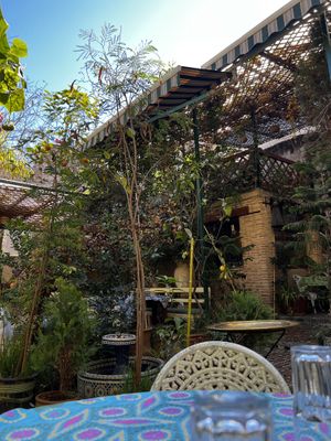   at The Ruined Garden in Fes