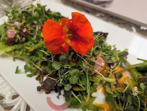  at Juice By J in Grand Rapids