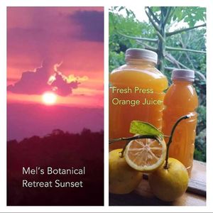 Welcome to paradise  at Mel's Botanical Retreat in Savanna La Mar