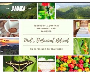 An experience to remember !  at Mel's Botanical Retreat in Savanna La Mar