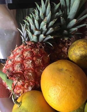 Farm -to-table  at Mel's Botanical Retreat in Savanna La Mar