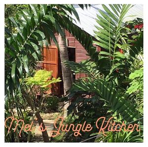 Mel’s Jungle kitchen.  at Mel's Botanical Retreat in Savanna La Mar