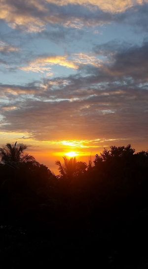 The best sunsets in the West Indies.
We are 2500 feet above sea level over looking the ocean just above Belmont and Bluefileds beach in Westmoreland Parish  at Mel's Botanical Retreat in Savanna La Mar