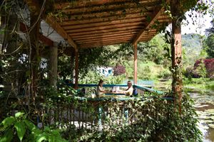 El restaurante at Lulo's Restaurante in Jardin