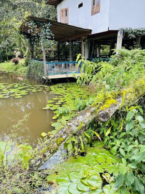 Dining area  at Lulo's Restaurante in Jardin
