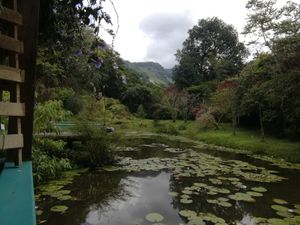 at Lulo's Restaurante in Jardin