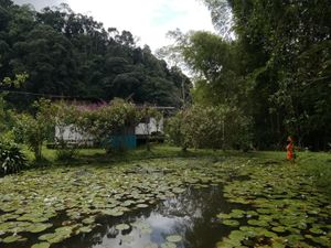  at Lulo's Restaurante in Jardin