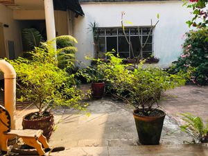 Garden next to café  at Chicach in Guatemala City