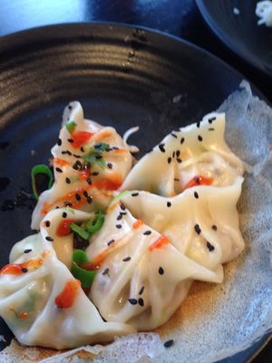 veg pan fried dumpling  at Dumpling World in Hobart