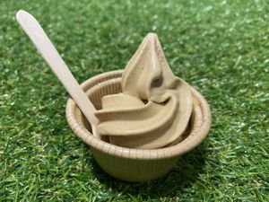 homemade nutsmilk softcream at Vegan Store - Cafe in Tokyo