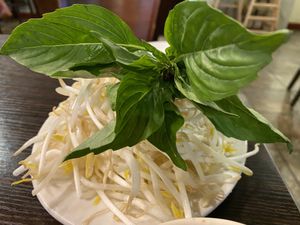 Fresh! at Boulder Pho in Boulder