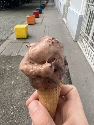   at Zuckero in Vienna