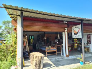  at Pancake 4 Paws in Ratnanagar