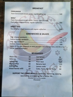  at Pancake 4 Paws in Ratnanagar