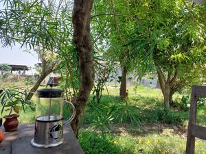 Garden seats at Pancake 4 Paws in Ratnanagar