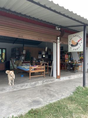   at Pancake 4 Paws in Ratnanagar