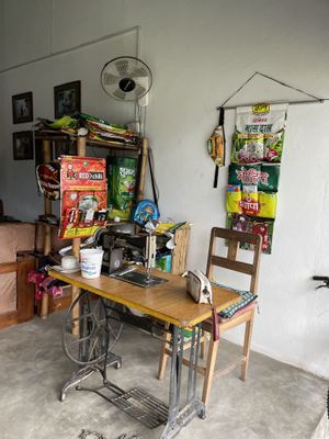   at Pancake 4 Paws in Ratnanagar