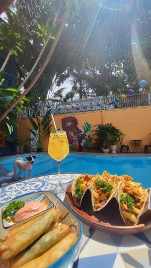  at WagWel Saigon in Ho Chi Minh City