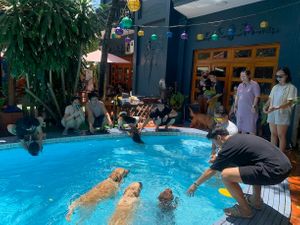  at WagWel Saigon in Ho Chi Minh City