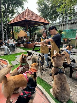  at WagWel Saigon in Ho Chi Minh City