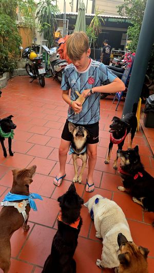 Snack time at WagWel Saigon in Ho Chi Minh City