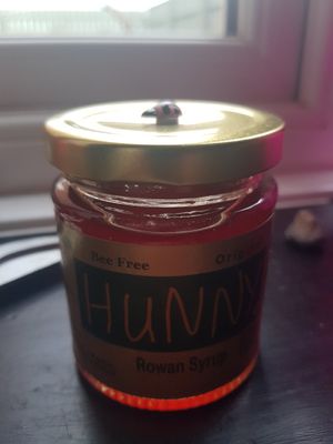 Hunny at Dalton Moor Farm in Seaham