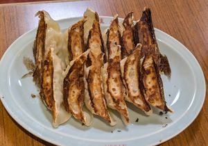 Gyoza #Veganuary at Izakaya Masaka in Tokyo