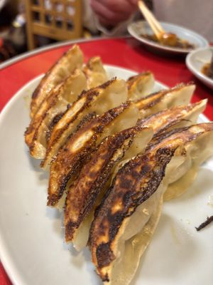 Gyoza  at Izakaya Masaka in Tokyo