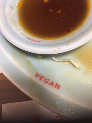 VEGAN at Izakaya Masaka in Tokyo