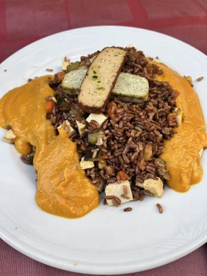 Arroz con tofu  at Tedone in San Sebastian
