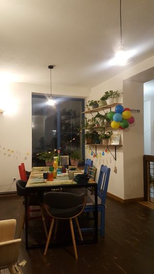 Welcoming and many plants at Burina in Liptovsky Mikulas