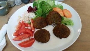 Falaffle Plate at Bio-Cafe Kieselstein in Potsdam