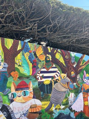 Cute kitty that hangs out around there.   at Pigeon Bagels in Pittsburgh