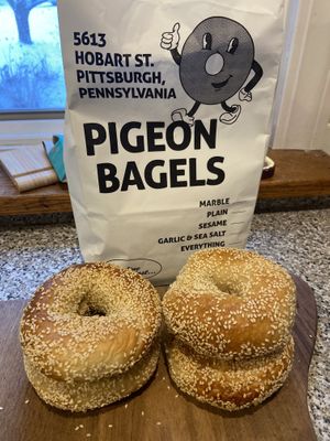 Sesame bagels   at Pigeon Bagels in Pittsburgh