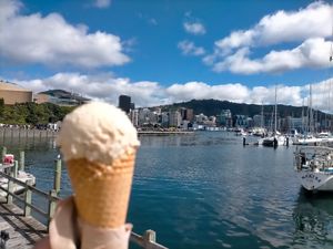  at Shake Bar in Wellington