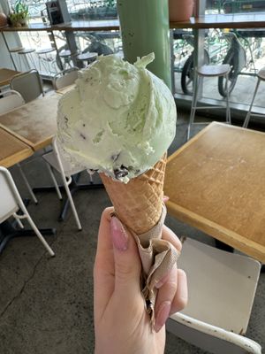   at Shake Bar in Wellington