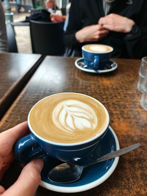  at Fat Camel Cafe in Whangarei