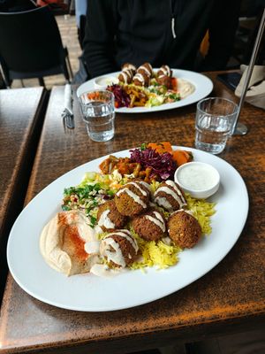  at Fat Camel Cafe in Whangarei