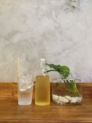 Cold Brew Teas at Seeds & Sunshine in Bangkok