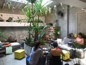 Indoor jungle at back of cafe with sofas, floor seating and library at Seeds & Sunshine in Bangkok