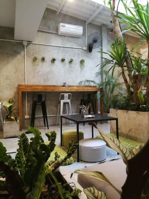 Indoor jungle at back of cafe with sofas, floor seating and library at Seeds & Sunshine in Bangkok