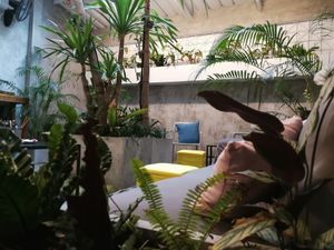 Indoor jungle at back of cafe with sofas, floor seating and library at Seeds & Sunshine in Bangkok