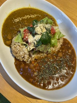 2種のカレー at Vegan Store in Tokyo