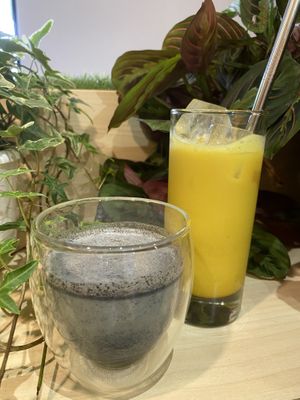 ターメリックラテ&黒ごまラテ at Vegan Store in Tokyo