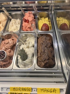 Four vegan flavors  with erythritol  at Vero Gelato Pizza e Café in Rio De Janeiro